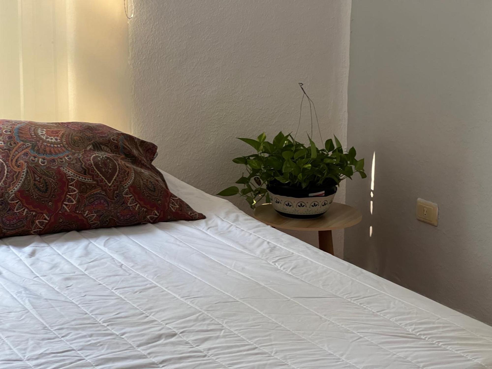 Villa Playacar 普拉亚卡门 外观 照片